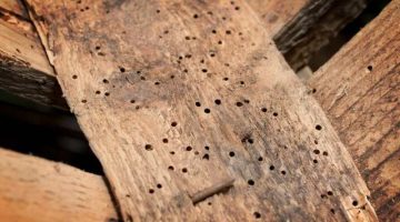 The Hidden Costs a Level 3 Survey Can Save You